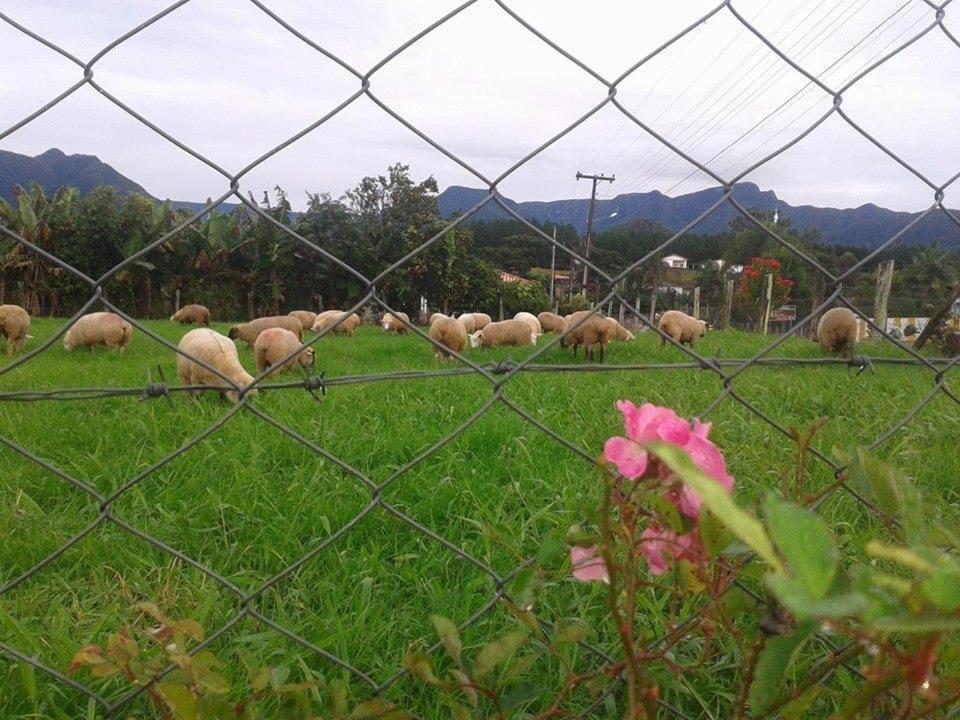 Casa Di Pecora - Pousada Rural 劳鲁米莱 外观 照片